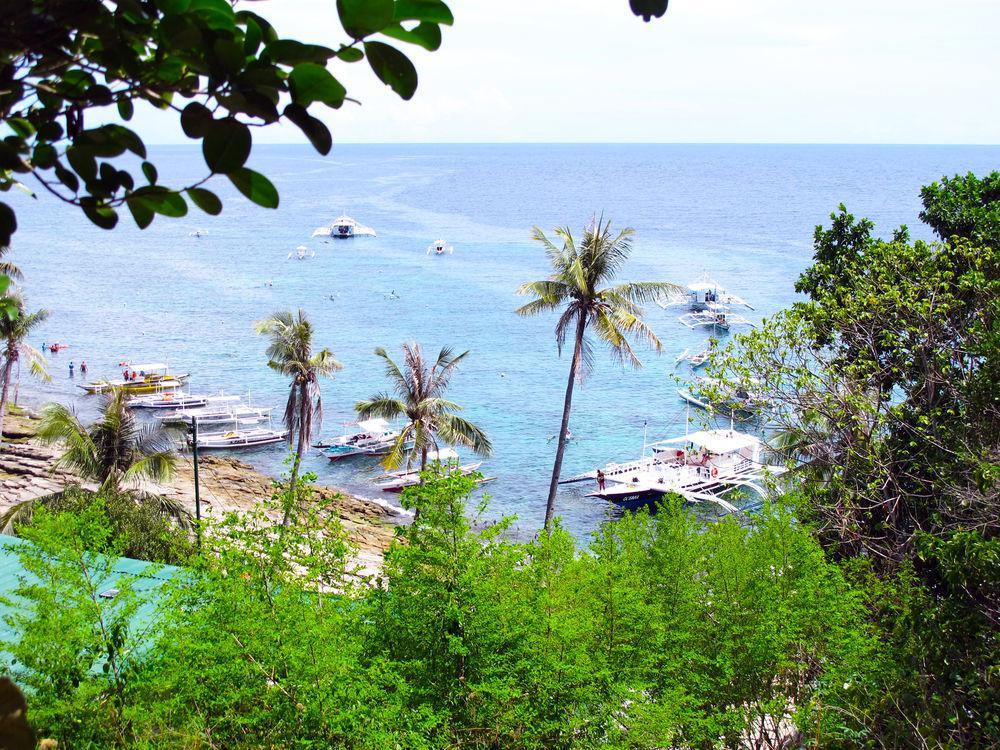 Acqua Dive Bed and Breakfast Zamboanguita  Eksteriør billede