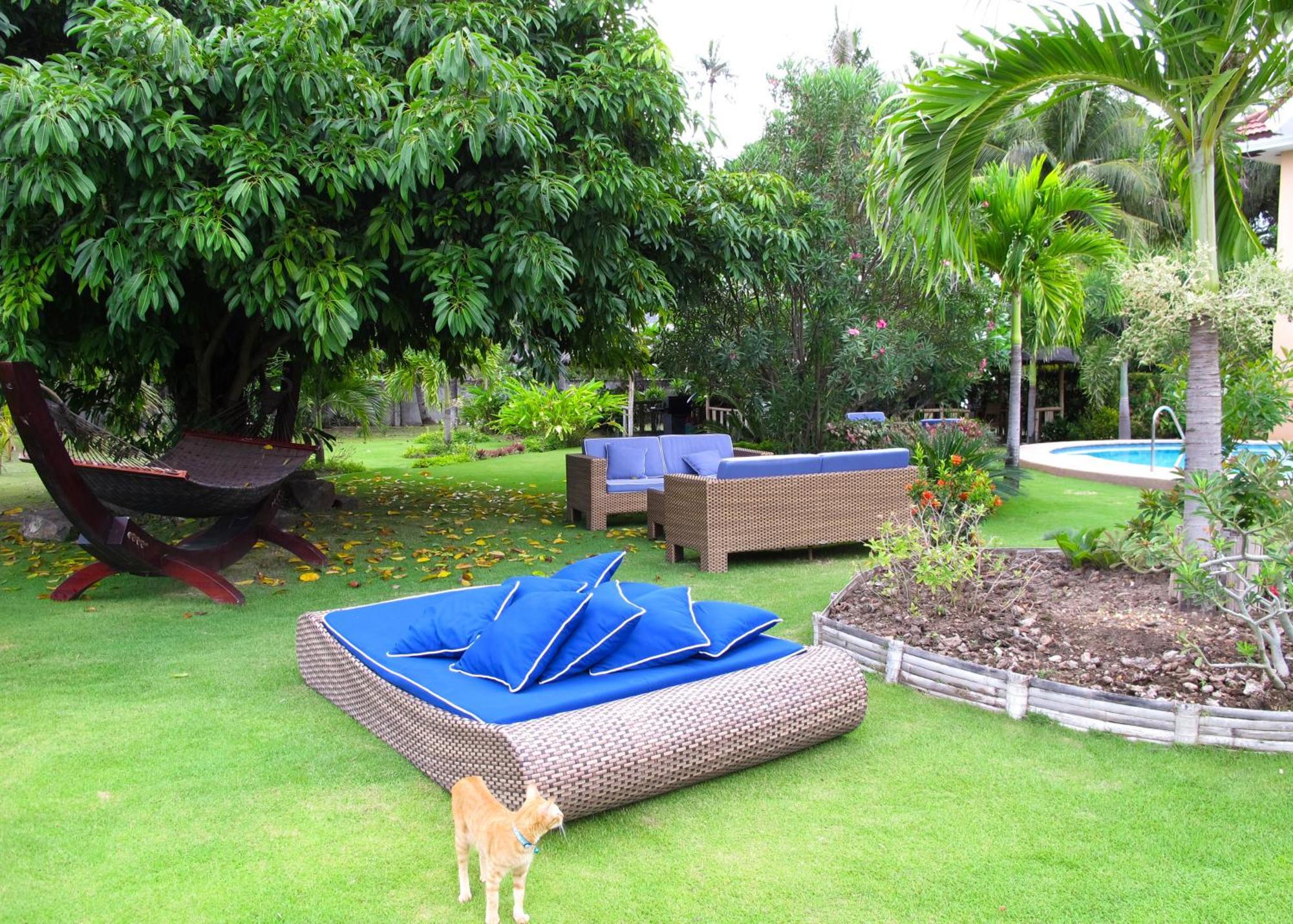 Acqua Dive Bed and Breakfast Zamboanguita  Eksteriør billede