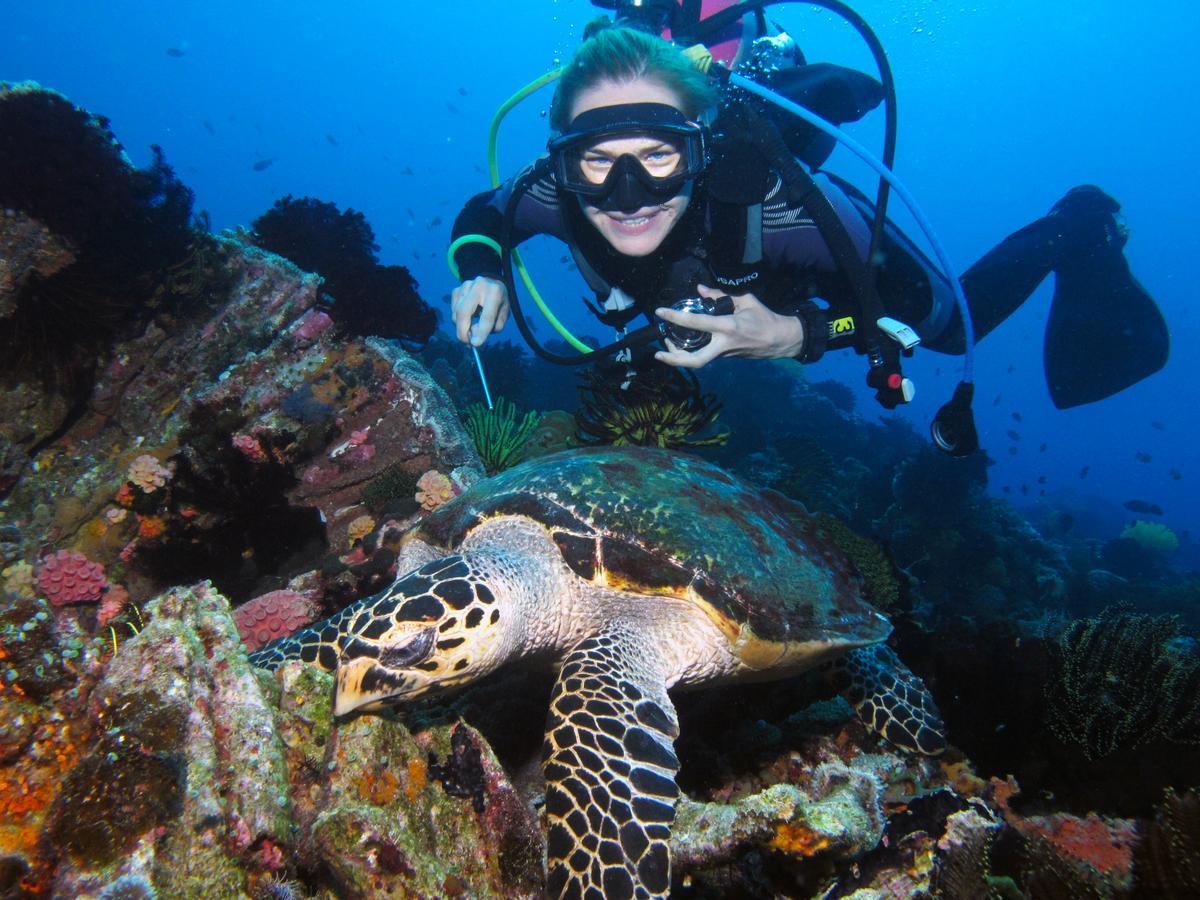 Acqua Dive Bed and Breakfast Zamboanguita  Eksteriør billede