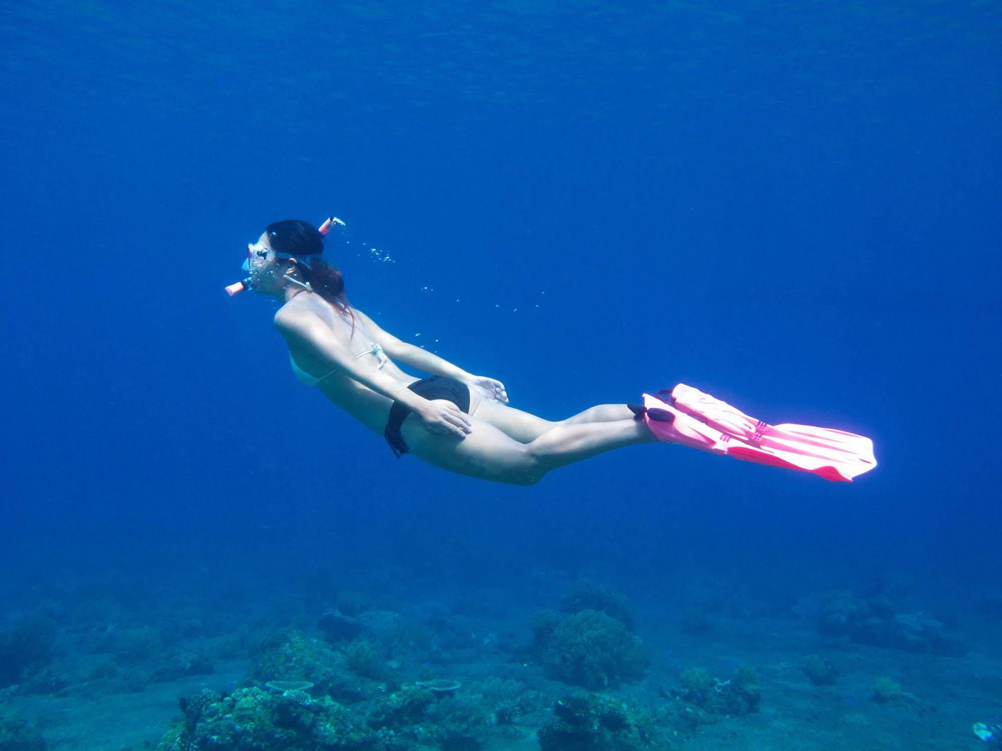 Acqua Dive Bed and Breakfast Zamboanguita  Eksteriør billede